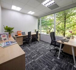 Park Avenue Rochester (D5), Office #629214301
